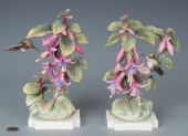 PAIR DOROTHY DOUGHTY HUMMINGBI