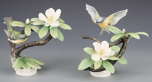 PAIR DOROTHY DOUGHTY PARULA