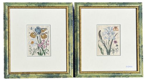 PAIR EARLY BOTANICAL