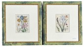PAIR EARLY BOTANICAL ENGRAVING