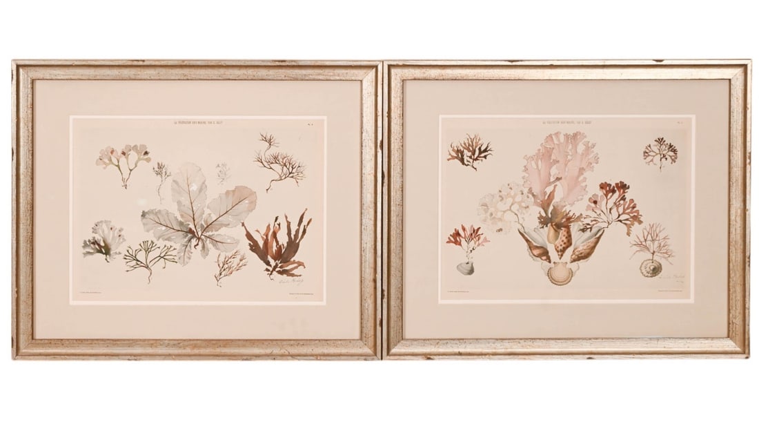 PAIR EMILE BELET COLORED ENGRAVINGS