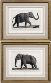 Pair engravings of elephants,
