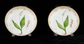 PAIR: FLORA DANICA VEGETABLE B