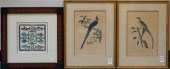 PAIR FRAMED ORNITHOLOGICAL COL