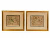 PAIR, FRENCH BOTANICAL ENGRAVI