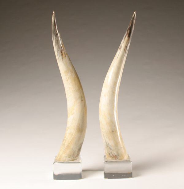 Pair longhorn steer horns;