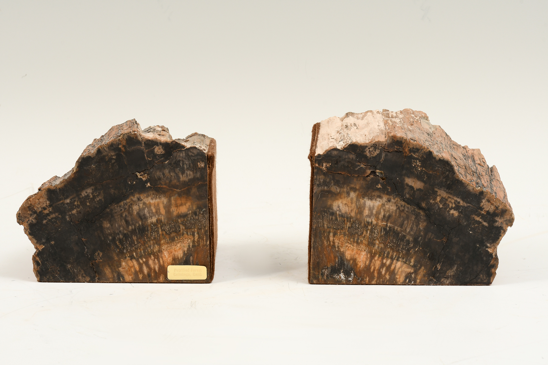PAIR MID CENTURY PETRIFIED WOOD