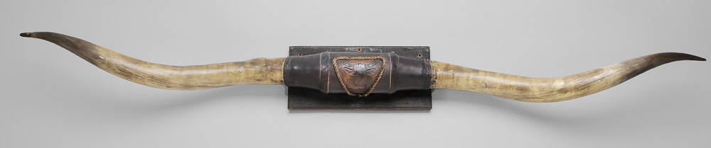 Pair Mounted Longhorn Horns leather