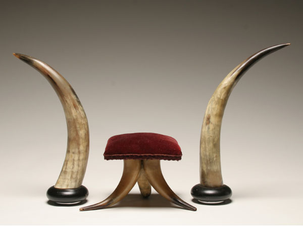 Pair mounted steer horns and horn