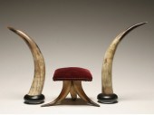 Pair mounted steer horns and h