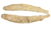 PAIR NTURAL GREEN RIVER FOSSIL