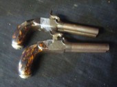 Pair of 19th Cent Twin-Barrel