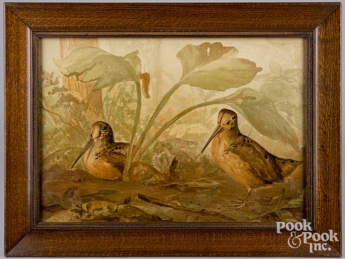 PAIR OF ALEXANDER POPE JR. COLOR