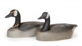 PAIR OF AMERICAN CANADA GEESE
