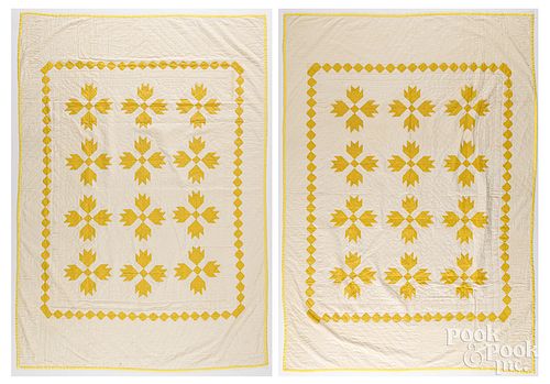 PAIR OF ANTIQUE BEAR PAW QUILTSPair