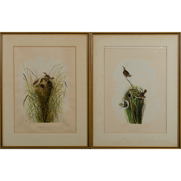 Pair of Bien Edition Audubon