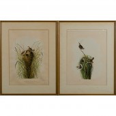 Pair of Bien Edition Audubon C