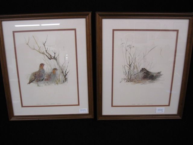Pair of Bird Prints;snipe &