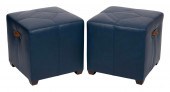 PAIR OF BLUE EDELMAN LEATHER O