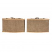 PAIR OF BOSE 901 SERIES VI SPE