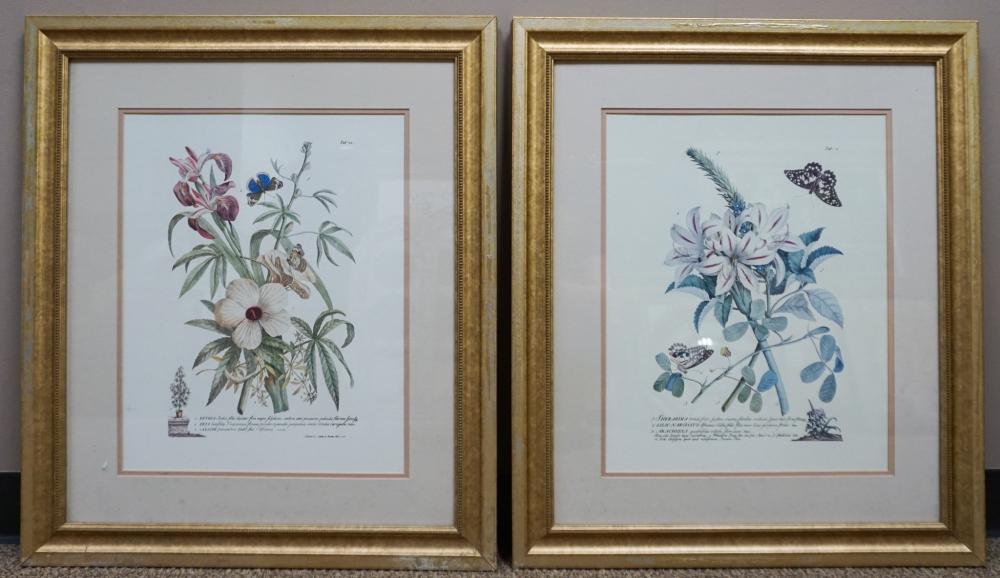 PAIR OF BOTANICAL FLOWER