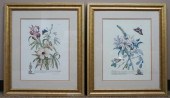 PAIR OF BOTANICAL FLOWER REPRO