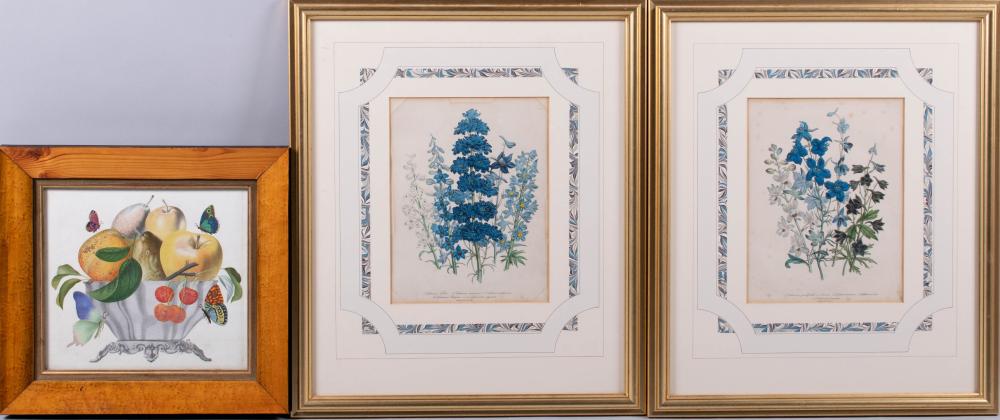 , PAIR OF BOTANICAL PRINTS - BLUE