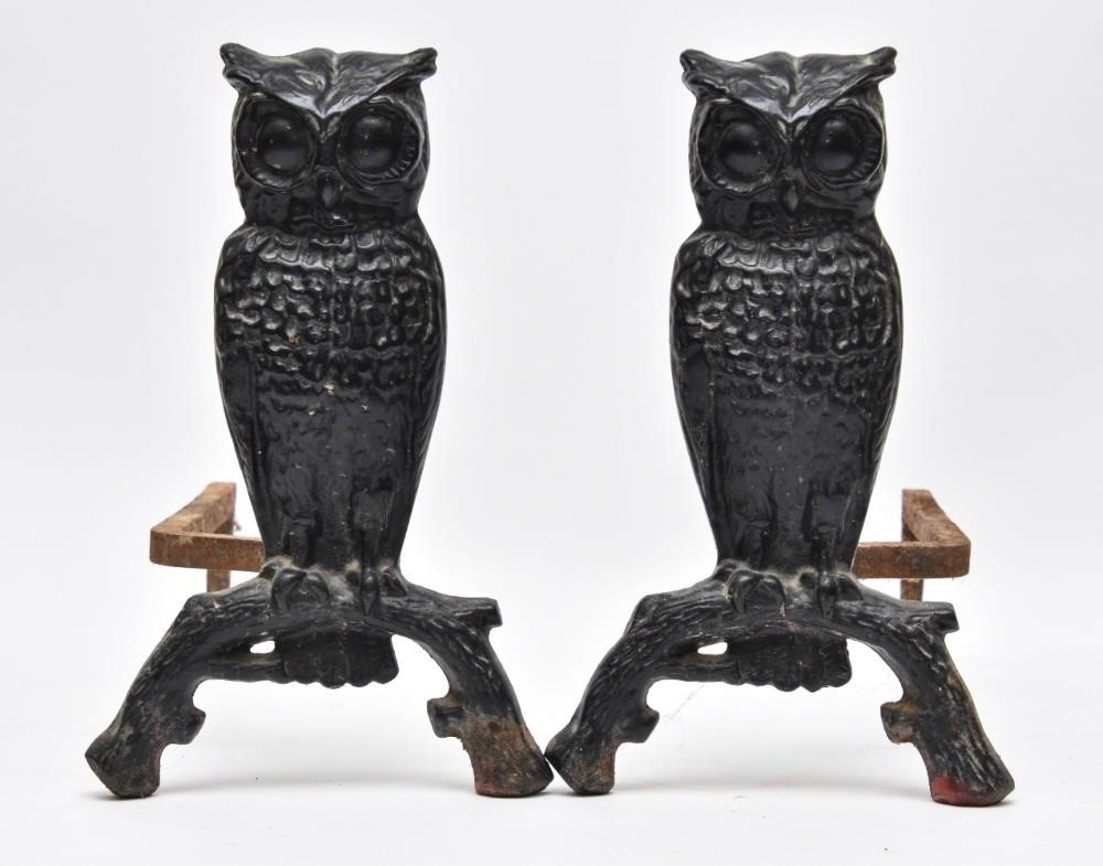 Pair of cast iron owl andirons,
