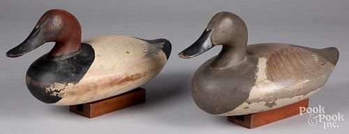 PAIR OF CHESAPEAKE BAY CANVASBACK