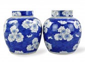 PAIR OF CHINESE B & W PRUNUS J