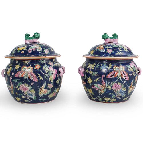 PAIR OF CHINESE BLUE FAMILLE ROSE