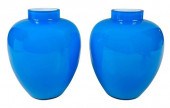 PAIR OF CHINESE BLUE PEKING GL