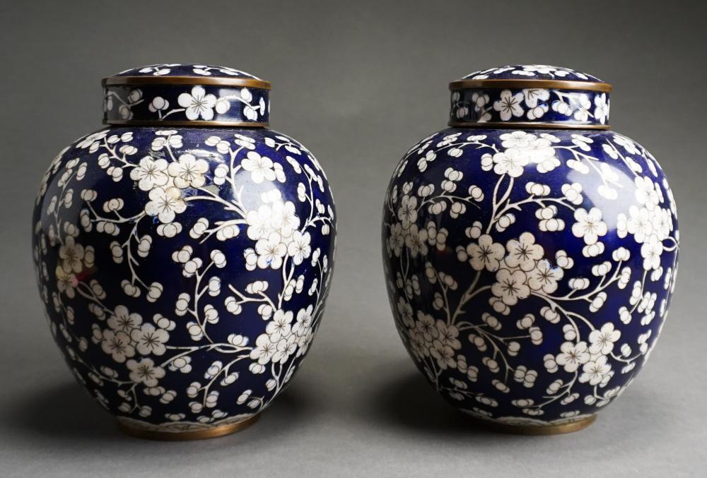 PAIR OF CHINESE CLOISONNE COVERED