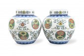 PAIR OF CHINESE DOUCAI COVERED
