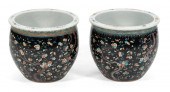 PAIR OF CHINESE FAMILLE NOIRE