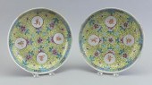 PAIR OF CHINESE PORCELAIN BIRT
