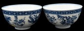 PAIR OF CHINESE PORCELAIN BLUE