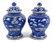 PAIR OF CHINESE PORCELAIN BLUE