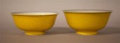 PAIR OF CHINESE SAUCER DISHES