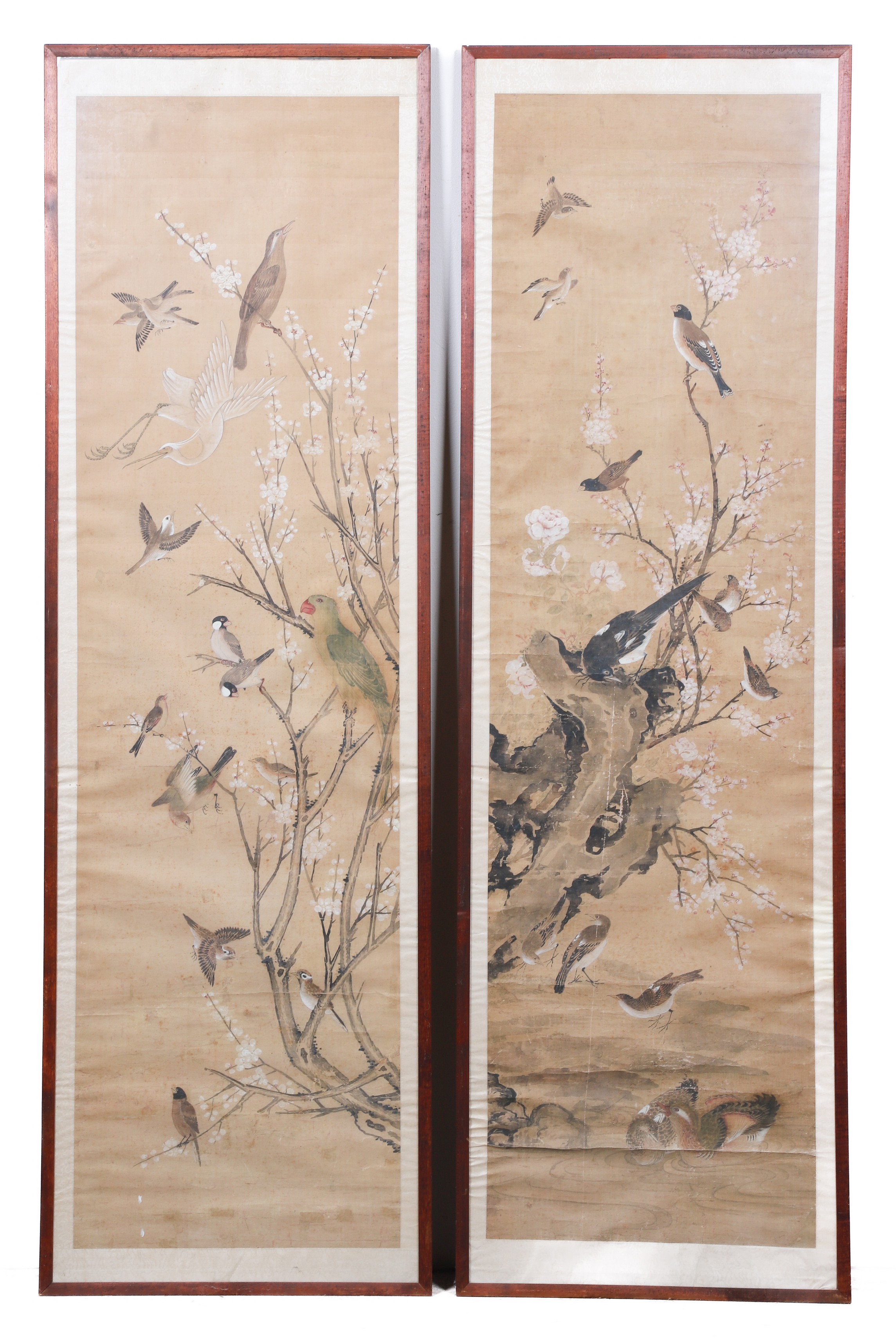 Pair of Chinese scrolls, birds in