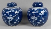 PAIR OF CHINESE UNDERGLAZE BLU
