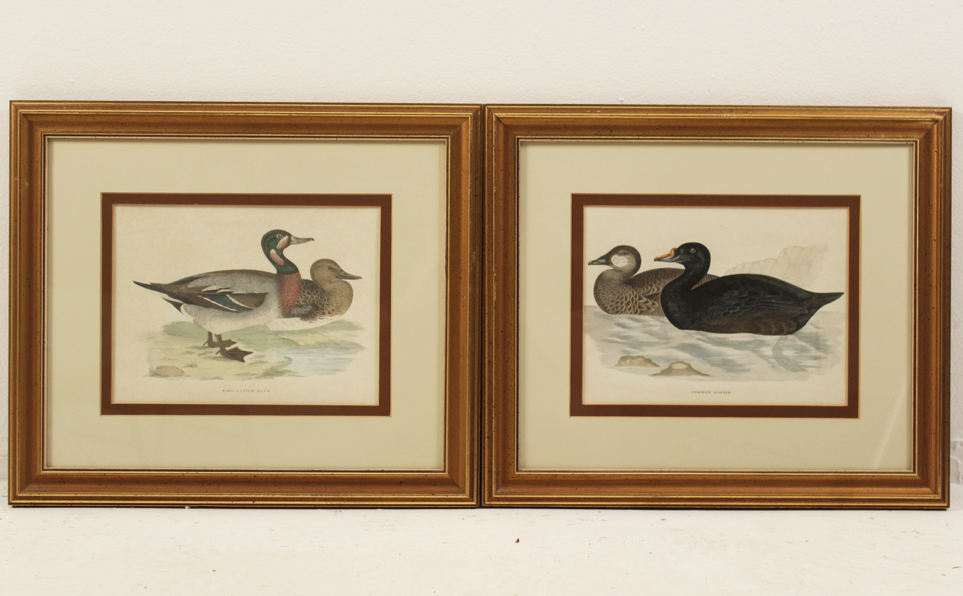 PAIR OF COLOR LITHOGRAPHS OF