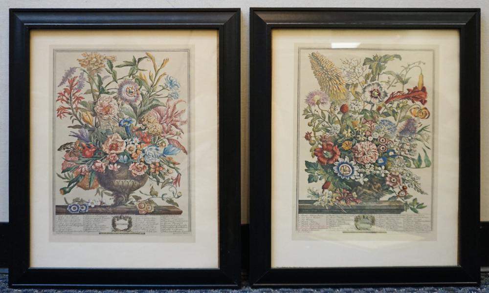 PAIR OF COLORED ENGRAVINGS OF