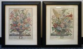 PAIR OF COLORED ENGRAVINGS OF