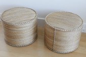 PAIR OF CONTEMPORARY NATURAL F