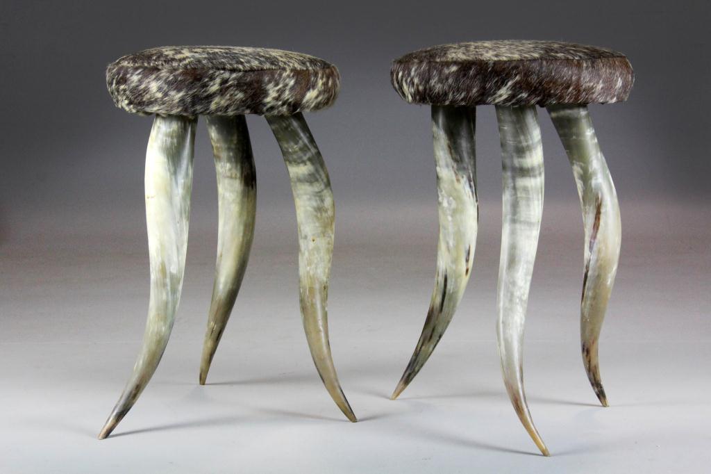 Pair of Cowhide and Longhorn