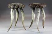 Pair of Cowhide and Longhorn W