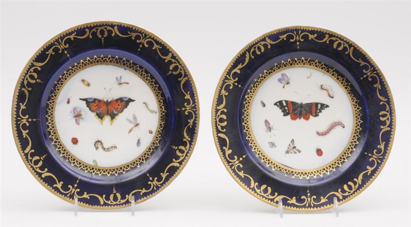 PAIR OF ENGLISH PORCELAIN PLATES