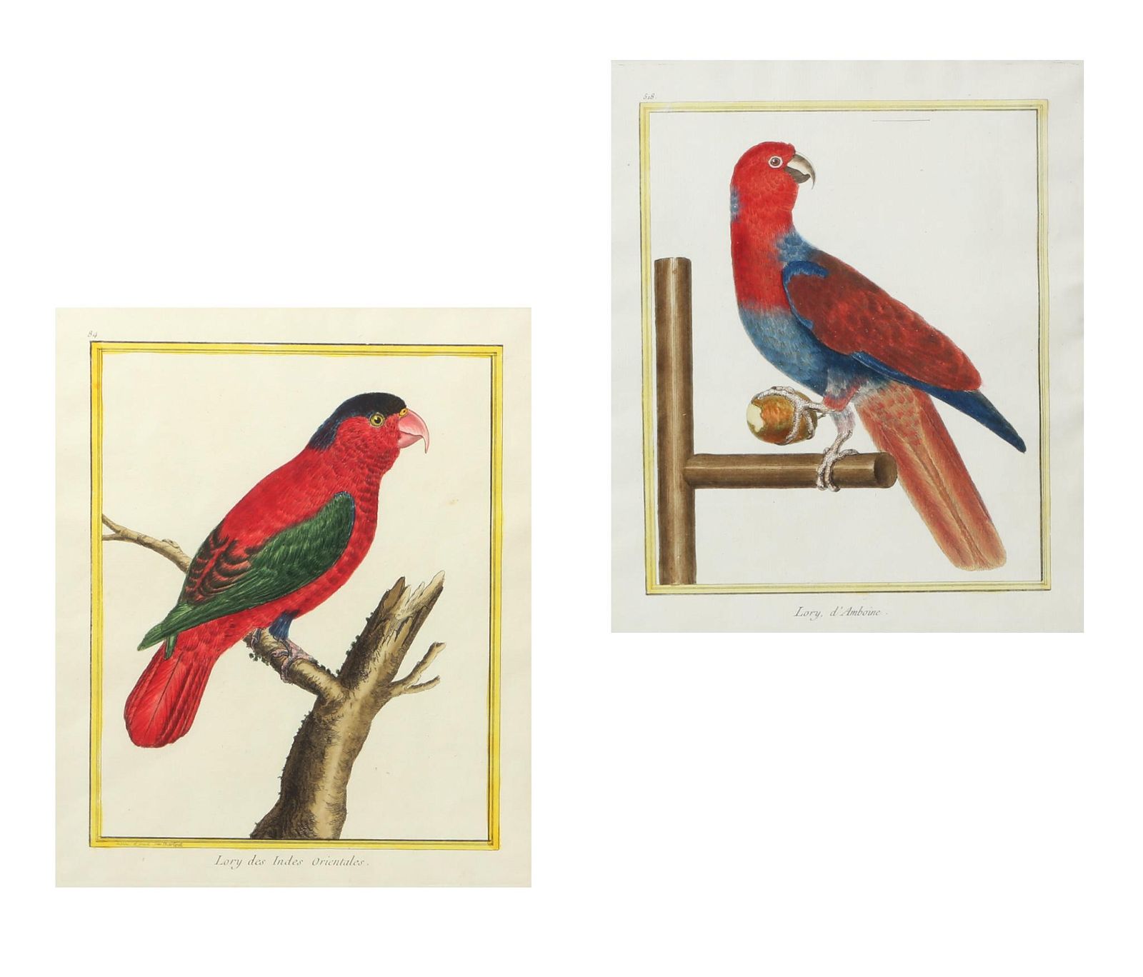 PAIR OF ENGRAVINGS MARTINET,