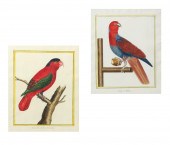 PAIR OF ENGRAVINGS MARTINET, H